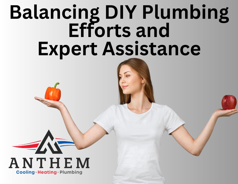 Balancing DIY Efforts and Expert Assistance
